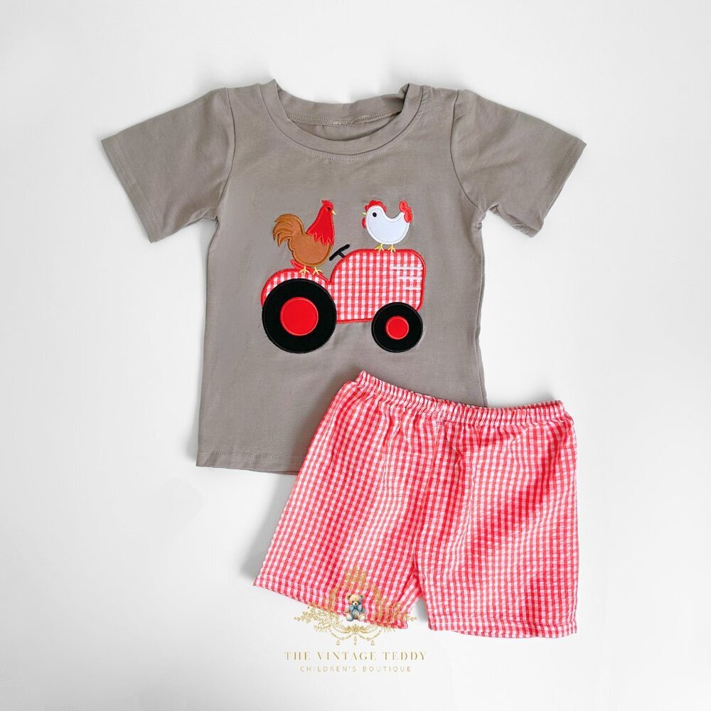 NWT Cute Boys T-shirt & Shorts Matching Set Embroidered Gingham Little Farm 4T